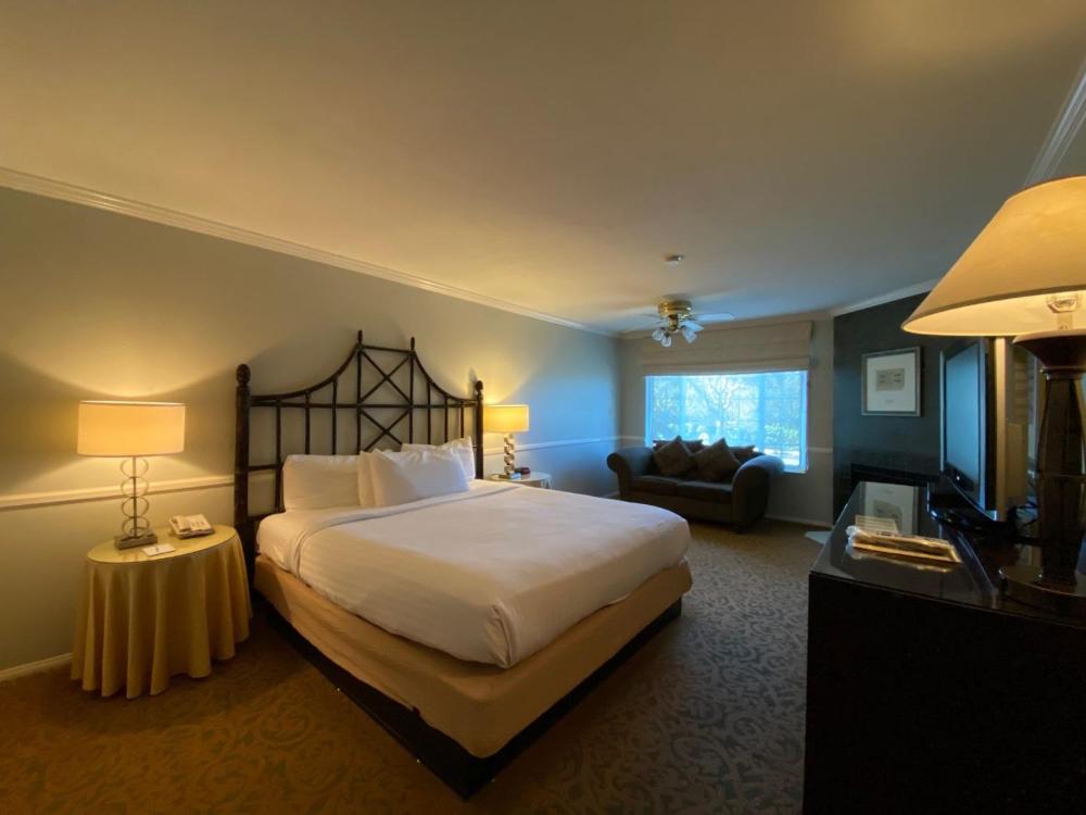 Deluxe King Room interior